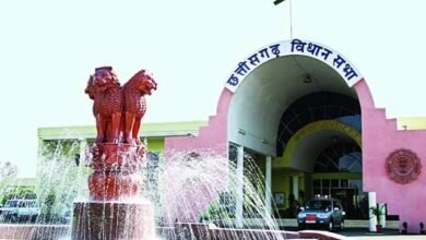 images 2023 07 18T113343.632