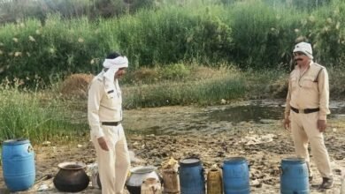 images 2023 07 18T174654.463