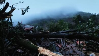 images 2023 07 21T073829.840