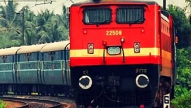 images 2023 07 21T100213.852