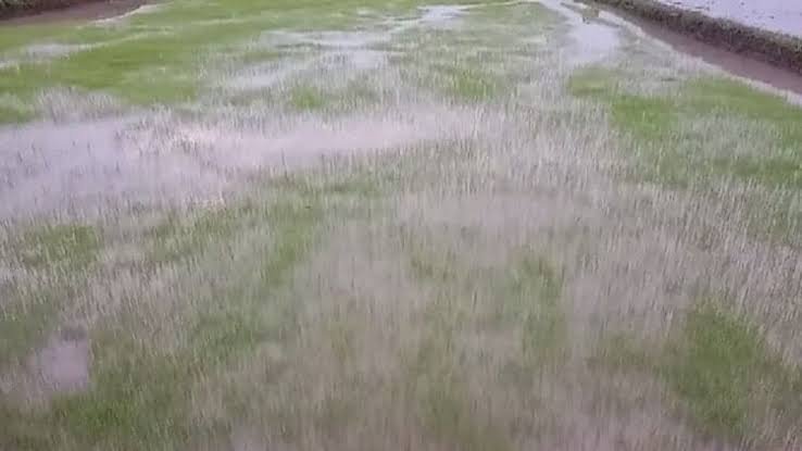 images 2023 07 21T131024.517