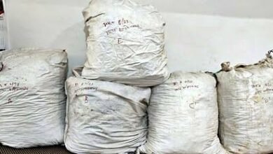 images 2023 07 22T150616.675