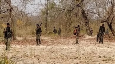 images 2023 07 22T151037.515