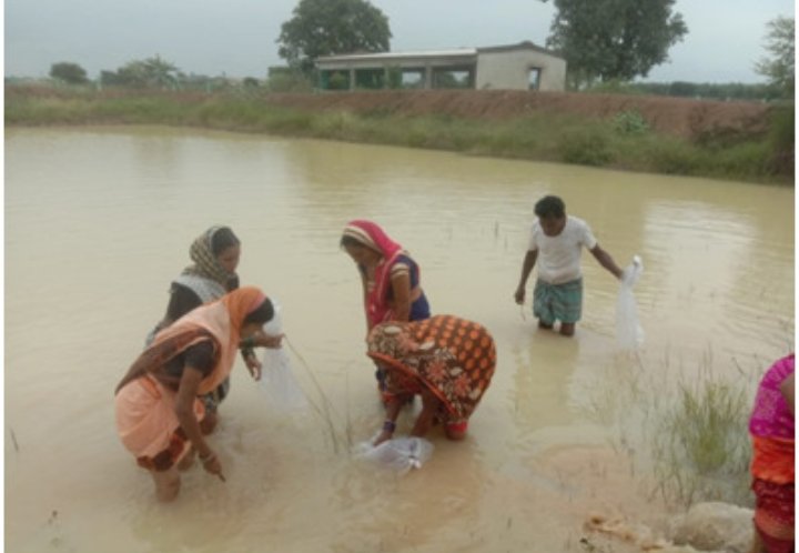 Self-employment opportunities bring prosperity to women groups associated with Tilai Gauthan 2 tilai 1