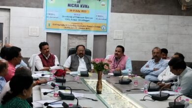 1690804762 8b895b5fb7b50a5e2f0b