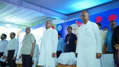 1691137559 c59e4801ce74cf3fff47