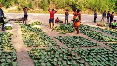 1691159053 47e490b0bee72102be4a