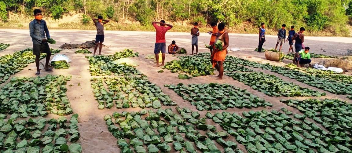 1691159053 47e490b0bee72102be4a