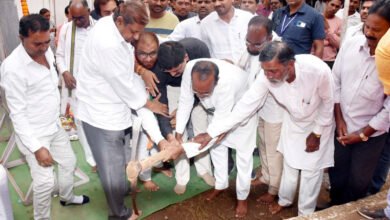 1691253183 ff8b9a0203cf94035bf4