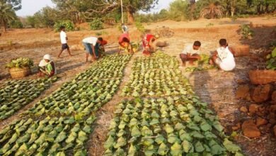 1691422559 98add61972209549e15a