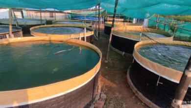 1691657954 6622fb098a884c93cf23