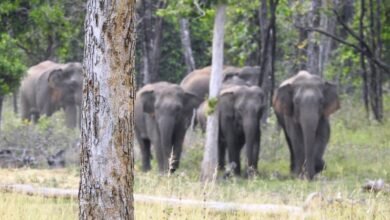 1691762510 a1ba9a664b3456336699