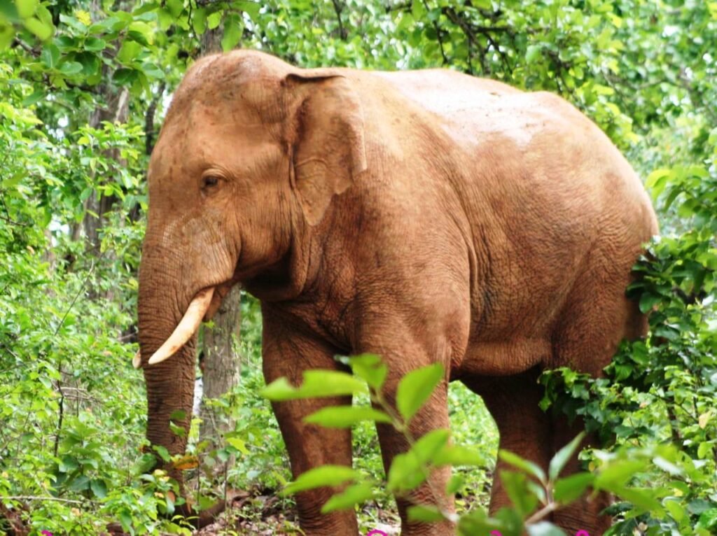 1691762516 80354302224a5e5e109d