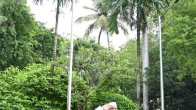 1692072798 dd8e9286ee73de2595b8