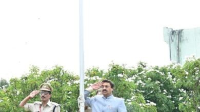 1692074420 1224b2de7b34dd75526e