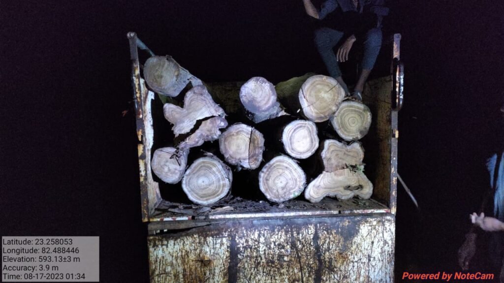 वन विभाग की कार्यवाही में भारी मात्रा में सागौन लकड़ी और वाहन जप्त 2 1692355388 0849bac0c2cd1bb86f45