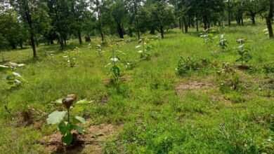 1692429532 c5db766376ac4cec6bc7