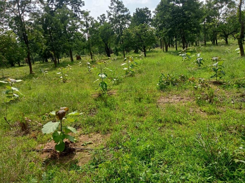 1692429532 c5db766376ac4cec6bc7