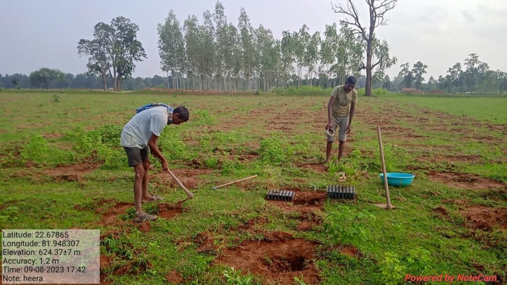 1692429656 2cbb5776f0a49932b3e0