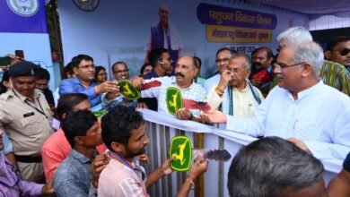 1692519119 c64f8971413cc44ce40a