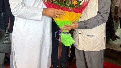 image editor output image 213588565 1691227006943