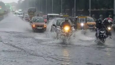 images 2023 08 01T113321.336 1