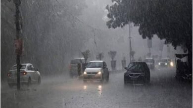 images 2023 08 17T145740.701