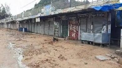 images 2023 08 19T134210.868