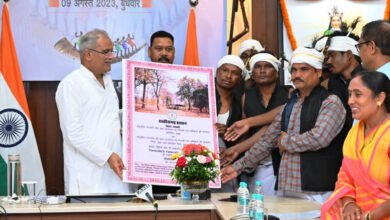 1693740219 e6554a6527d26a49c252