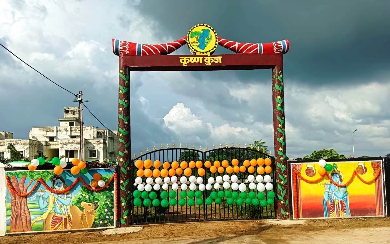 हरे -भरे वृक्षों के रूप में आकार ले रहे ‘कृष्ण कुंज‘, 169 नगरीय निकायों के 224 एकड़ रकबा में 60 हजार पौधे रोपित<br> 1 1694094996 02342cf2f87274a03fbd