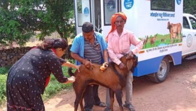 1694101359 35b42f20e8e8aba7154e