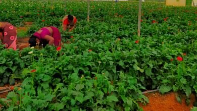 1694173069 569b1df3125d2ed73f40