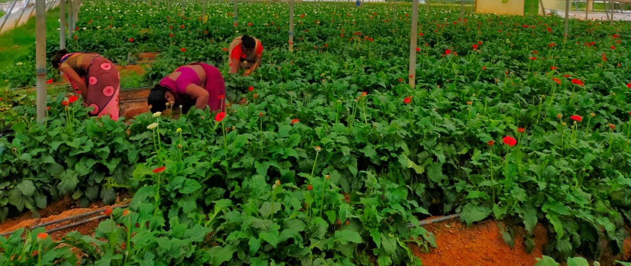 1694173069 569b1df3125d2ed73f40