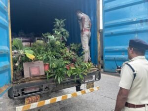 1694879120 c4d76ca5e96e2ac60d0b