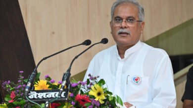 1695114946 e1886ee41d28d3f727f6