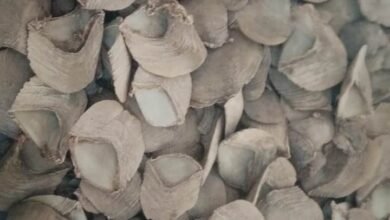 1695213764 b65f5006f1aec287a772