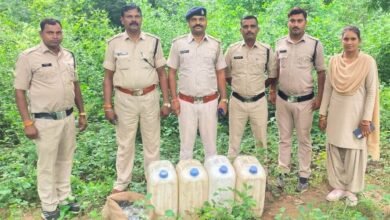 1695398920 d466a762e752ccf8cf22