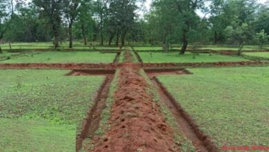 1695466740 8135fdfdafe4c0b165ea