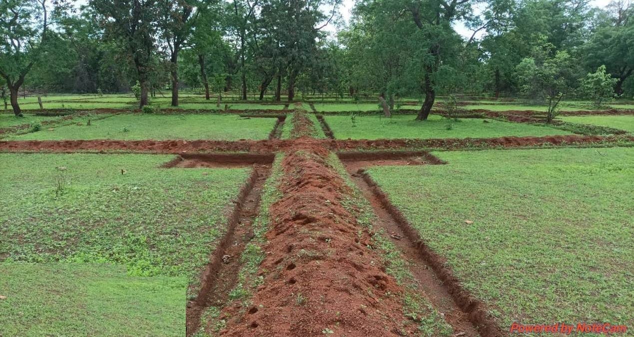 विशेष लेख : नरवा विकास: बिखेरते हरियाली के साथ वनांचल में भरा उल्लास 1 1695466740 8135fdfdafe4c0b165ea