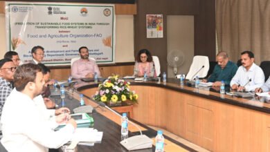 1695988997 007b3b9a143bf3c66f5c