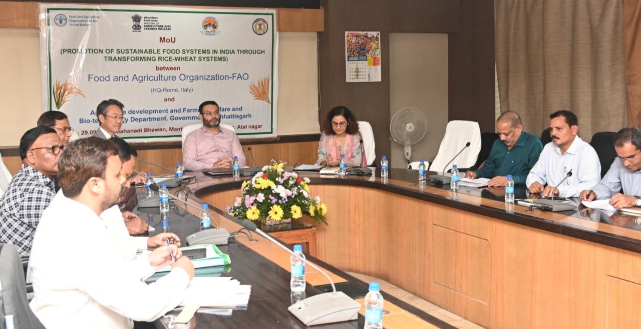 बलरामपुर और दंतेवाड़ा जिले में चावल व गेहूं की उत्पादकता बढ़ाने चलेगा विशेष कार्यक्रम 1 1695988997 007b3b9a143bf3c66f5c