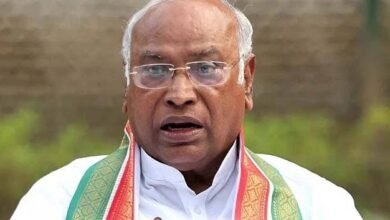 image editor output image 12415873 1694066790842