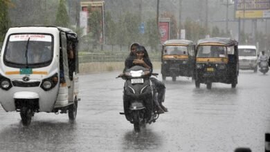 images 2023 09 05T120436.898