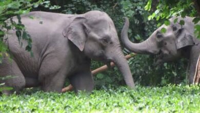 images 2023 09 10T144011.389