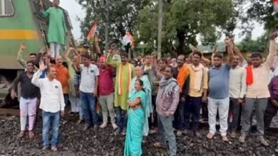 images 2023 09 13T113934.801