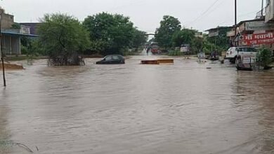 images 2023 09 14T121511.598