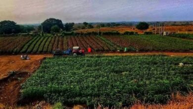 images 2023 09 19T082147.134