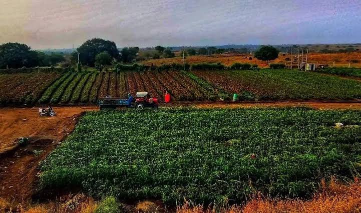 जैविक प्रमाणीकरण के लिए छत्तीसगढ़ प्रमाणीकरण समिति, भारत वानिकी एवं कृषि-सीजीसर्ट संचालित<br> 1 images 2023 09 19T082147.134