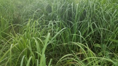 1696659101 78a0a8300b68d2924327