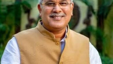 image editor output image 737412023 1696530918911